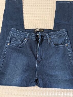 Just Black High-Rise Skinny Jeans in Dark Blue Wash size 30P